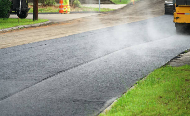 Best Custom Driveway Pavers  in Oldsmar, FL