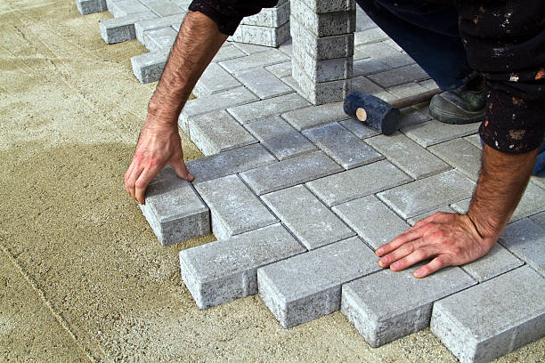 Best Brick Driveway Pavers  in Oldsmar, FL