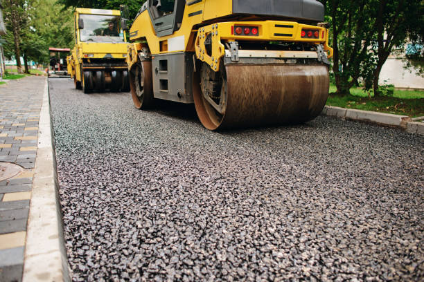 Best Residential Paver Driveway  in Oldsmar, FL